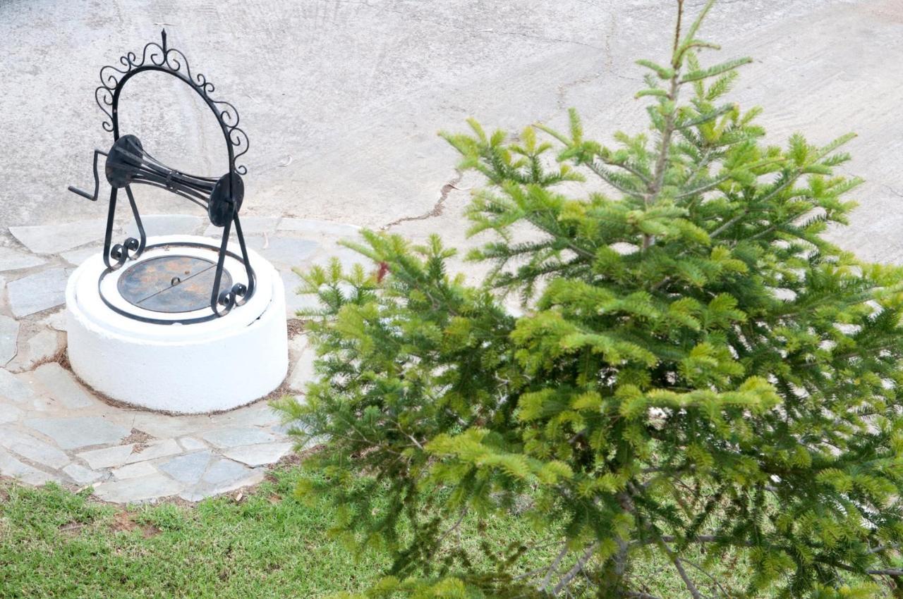 Oasis Olympia Apartments Smila ภายนอก รูปภาพ